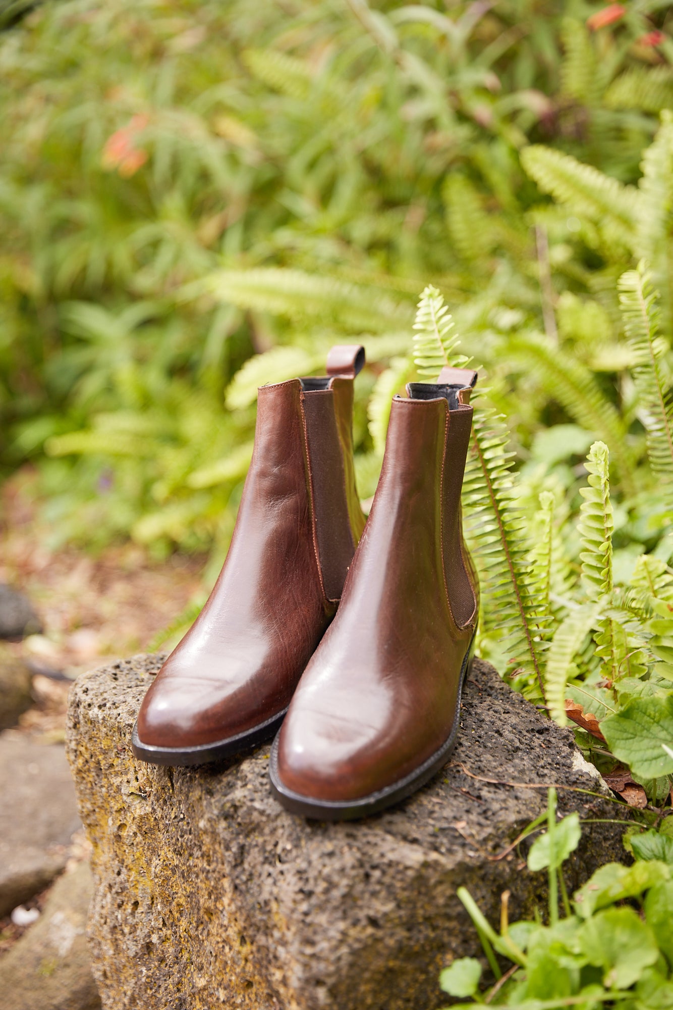Balmoral twin gusset boot Chocolate