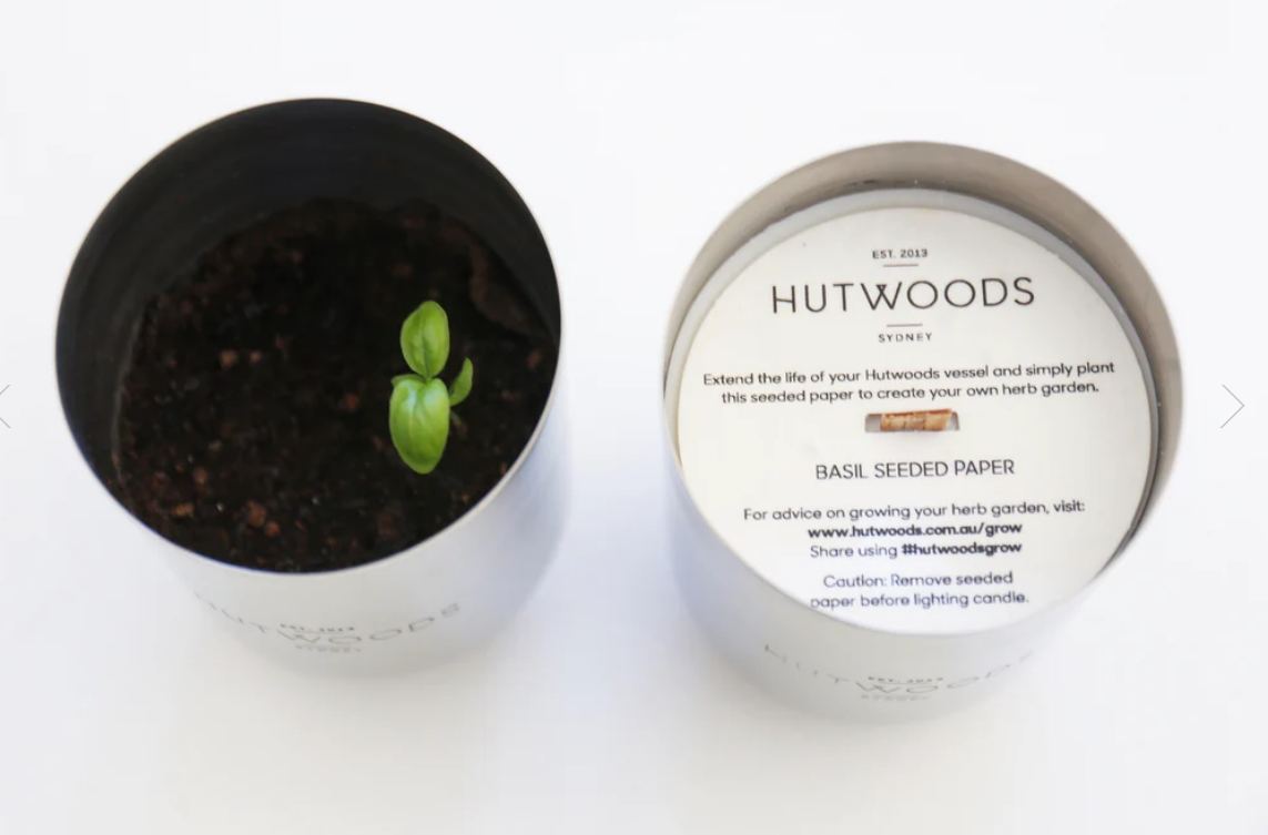 HW Grapefruit & Chamomile Luxury Brushed Brass Candle