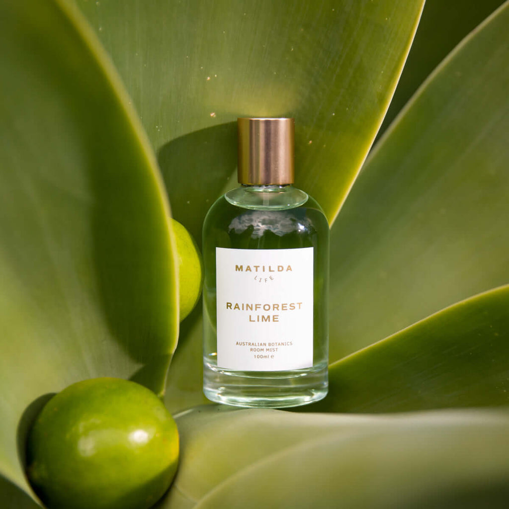 Rainforest Lime